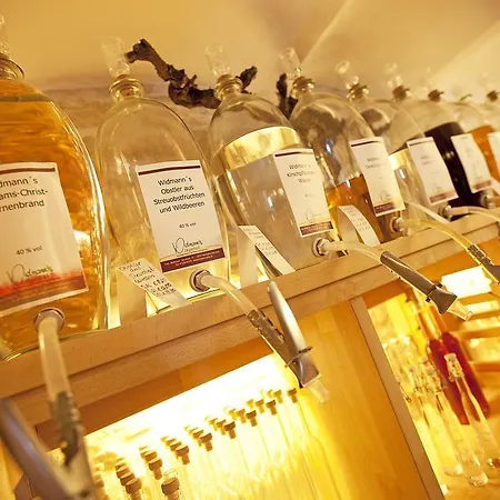 Hotel Widmann's Loewen