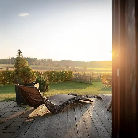 Hotel Widmann's Loewen 3*