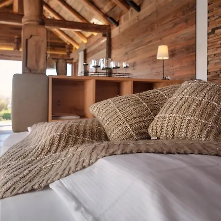 Widmann's Loewen Hotel 3*