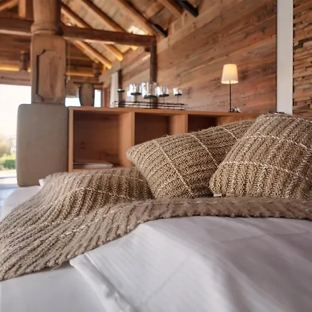 Widmann's Lowen Hotel 3*