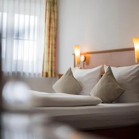 Widmann's Loewen Hotel 3*