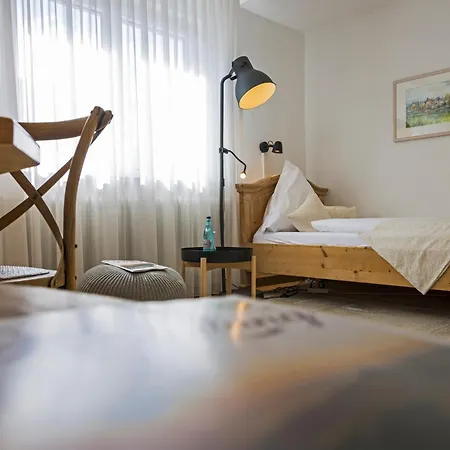 Hotel Widmann's Loewen