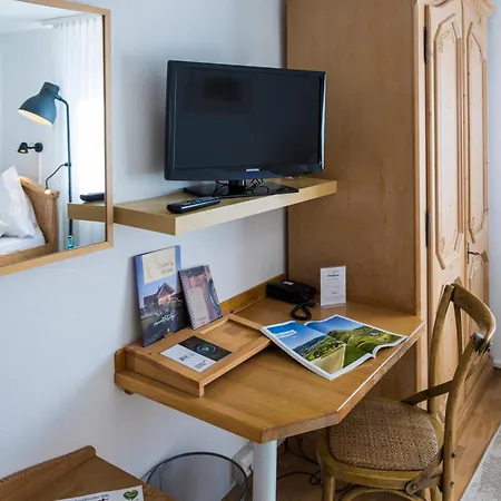 Hotel Widmann's Loewen 3*