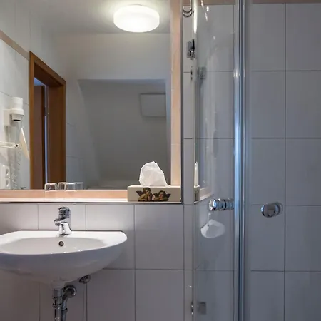 Widmann's Loewen Hotel 3*