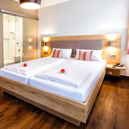 Hotel Widmann's Loewen 3*
