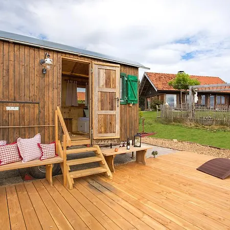 Hotel Widmann's Loewen