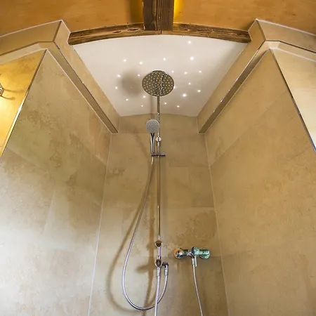 ホテル Widmann's Loewen 3*