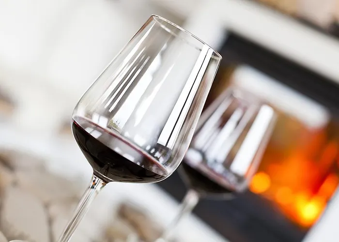 Hotel Widmann's Loewen 3*