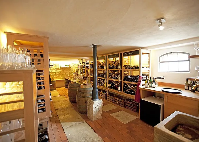 Hotel Widmann's Lowen Konigsbronn