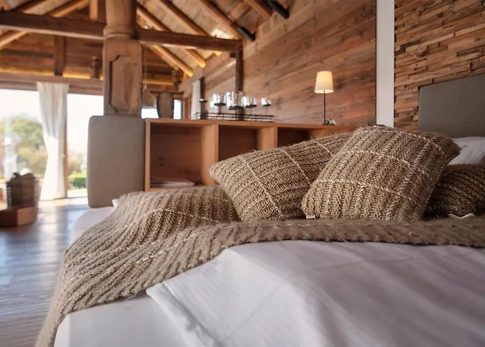 Widmann's Loewen Hotel 3*