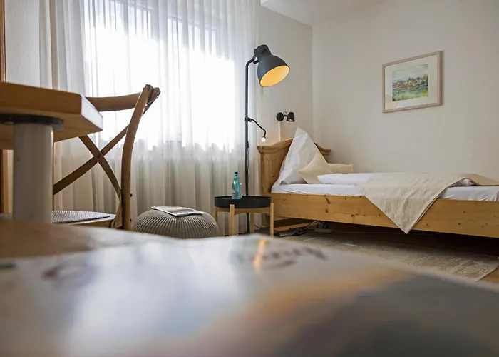 Hotell Widmann's Löwen