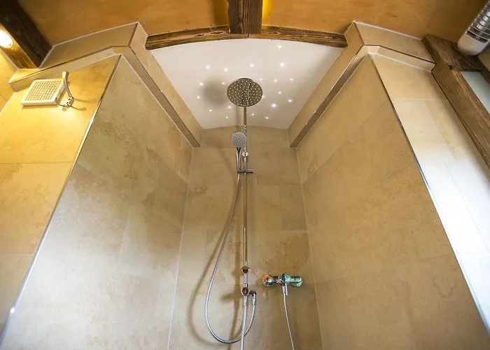 Hotel Widmann's Loewen 3*